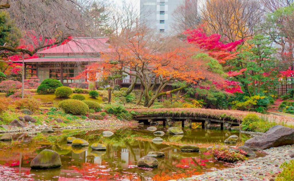 tokyo mùa thu, nhật bản mùa thu