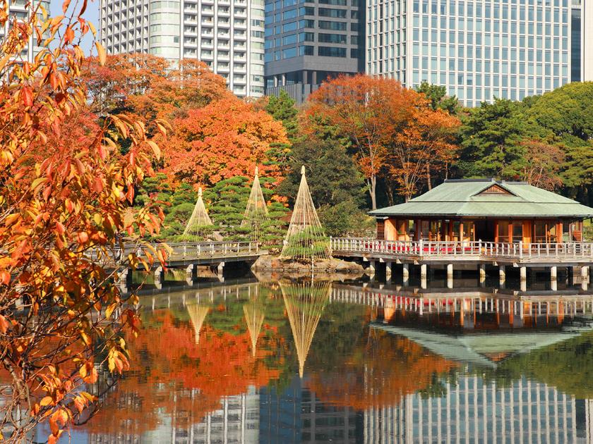 tokyo mùa thu, nhật bản mùa thu