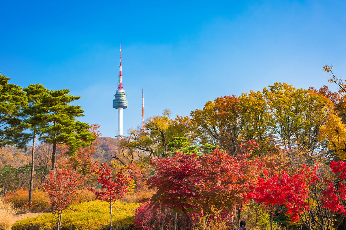 Hàn Quốc mùa thu, tháp Namsan, seoul hàn quốc mùa thu