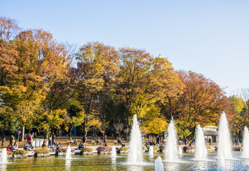 tokyo mùa thu, nhật bản mùa thu