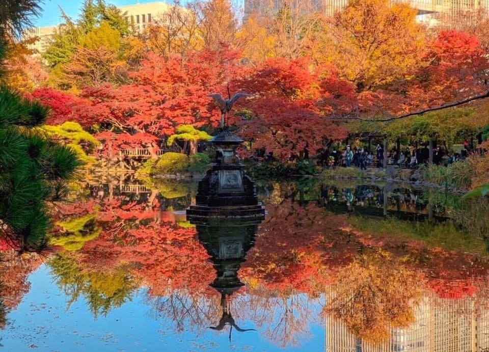 tokyo mùa thu, nhật bản mùa thu