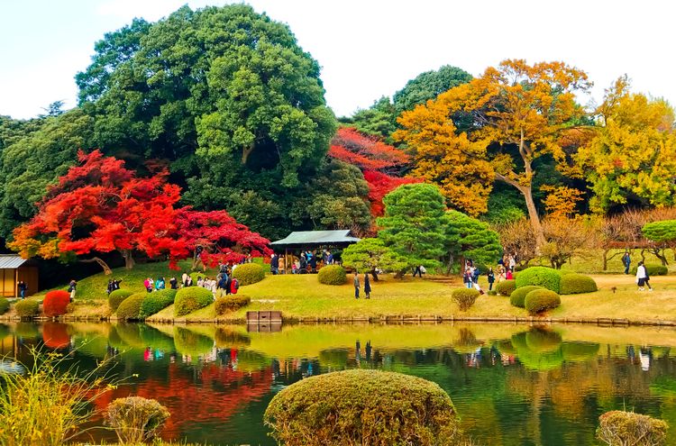 tokyo mùa thu, nhật bản mùa thu