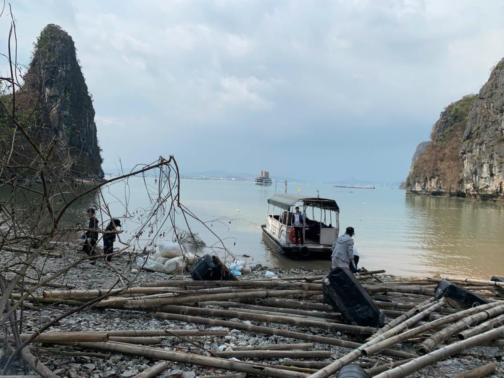 Chung tay làm sạch Vịnh Hạ Long