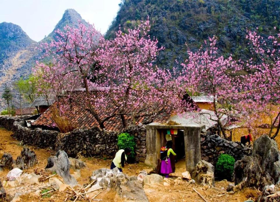 hà giang đi tháng mấy đẹp