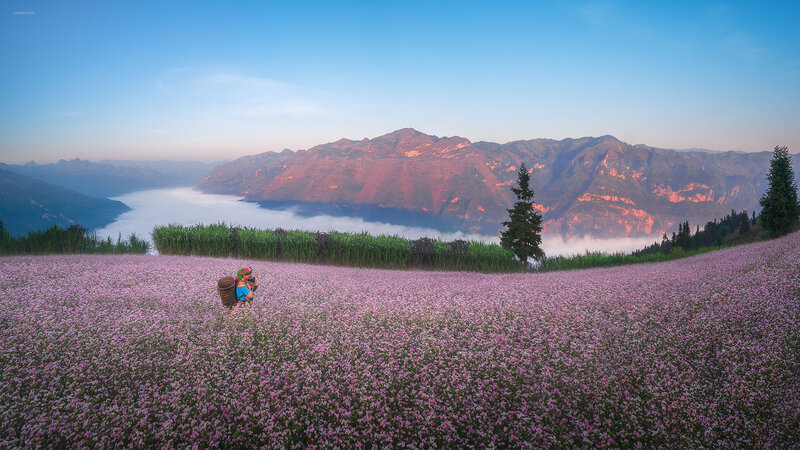 hà giang đi tháng mấy đẹp
