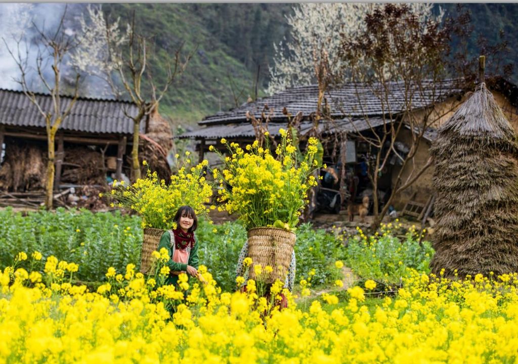 hà giang đi tháng mấy đẹp