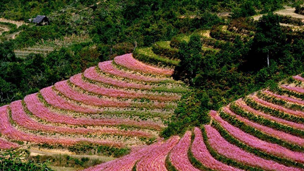 hà giang đi tháng mấy đẹp