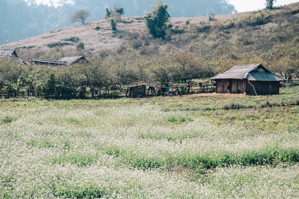 du lịch Mộc Châu