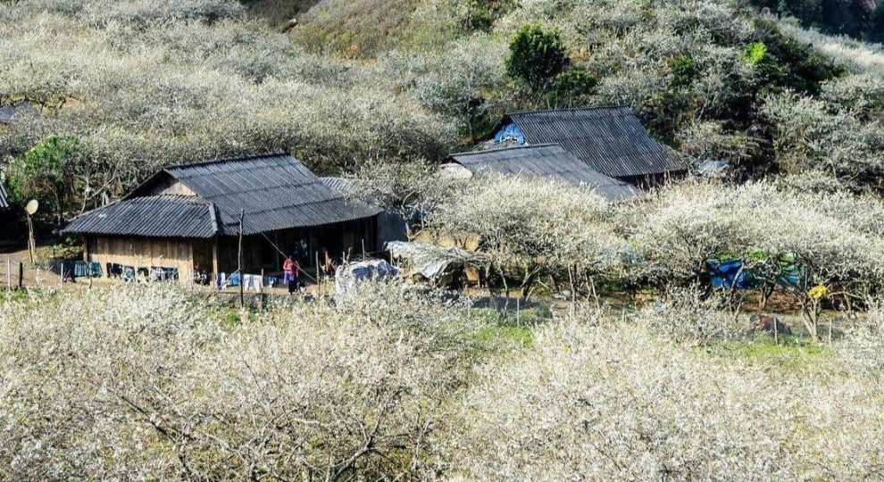 du lịch Mộc Châu